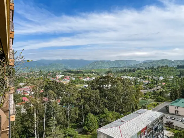 Panoramic mountain and Botanical Garden view from the studio window